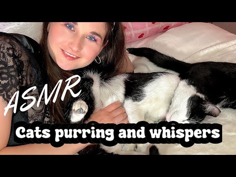 ASMR, Fall asleep with my cats in 10 minutes