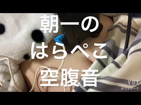 ASMR 朝7時前でお腹空きすぎた音【request movie】