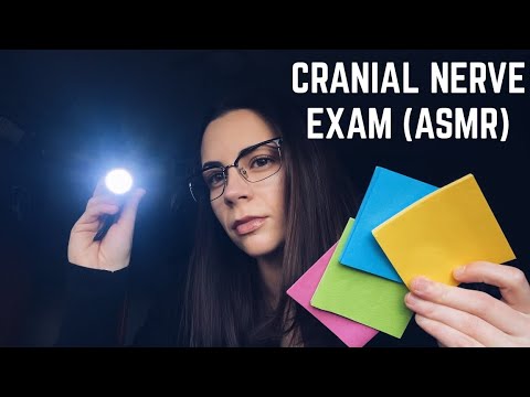 ASMR • Cranial Nerve Exam Roleplay (Soft Spoken, Personal Attention)