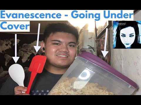 Evanescence - Going Under (Cereal Container Cover)