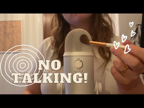 ASMR Classic mic brushing (no talking)