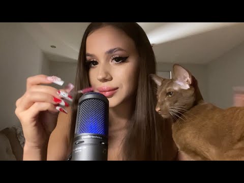 ASMR with my cat | my two favourite lipglosses (mouth sounds, hands movements)