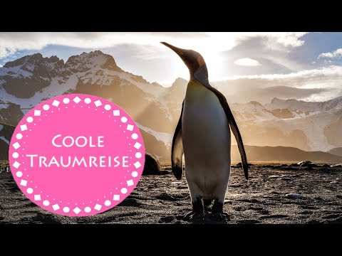 Kühlende Traumreise: Pinguinis großes Abenteuer (geflüstert)