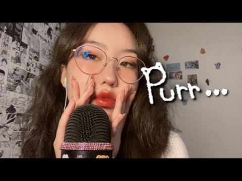 ASMR | FAST & AGGRESSIVE Purring, Mic Scratching & Brushing 🤤✨(CV for GNARLY_91)