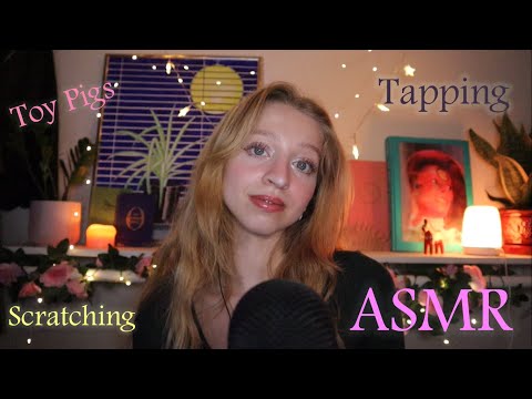 Tapping and Scratching My Toy Pig Collection (ASMR)