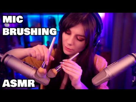 ASMR Mic Brushing ✨ No Talking
