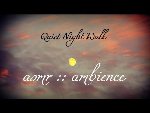 ASMR :: Quiet Night Walk :: Ambience