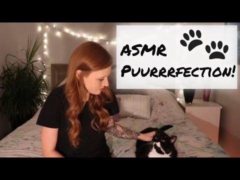 PET ASMR! Gentle Whispers, ASMR Cat Sounds, Purring, Licking,  ASMR for sleep