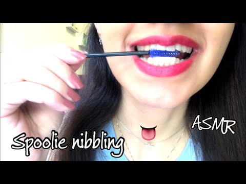 ASMR | Spoolie nibbling and Wet Mouth sounds 👅 (No talking)
