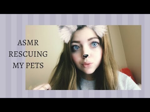 ASMR STORYTIME: ALL MY PET RESCUE STORIES