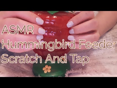 ASMR Hummingbird Feeder Scratch And Tap