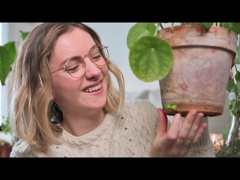 ASMR - Show and Tell - Plants Update 🌱