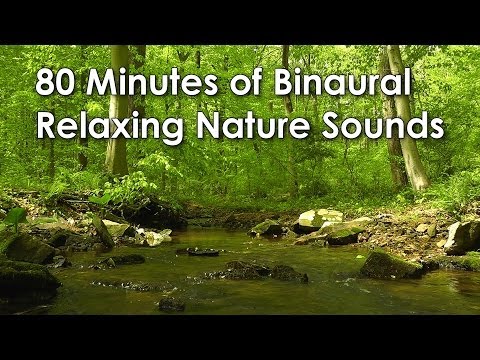 80 Minutes of Binaural Woodland Ambience ( Nature Sounds Series #8) Trickling Stream & Bird Sounds