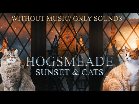 Hogsmeade Window [Sunset] Snowfall 🐈 + Cats - Harry Potter Winter Ambience 🎄 NO MUSIC / Only Sounds