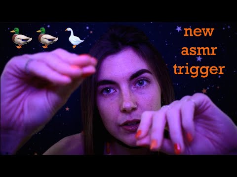 ASMR: 'Duck Duck Goose' - Hand Movements and TASCAM Tingles to Make You Sleepy 🦆🦆