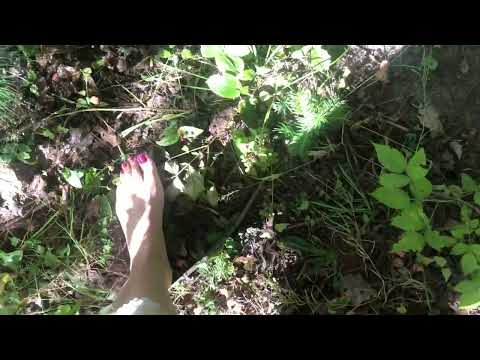 ASMR bare feet painted toes walking in forest