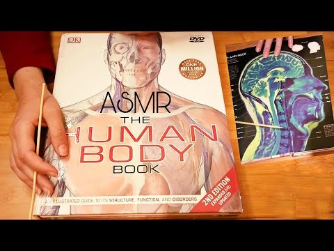 ASMR The Human Body Page Flipping (Imaging & Bones)