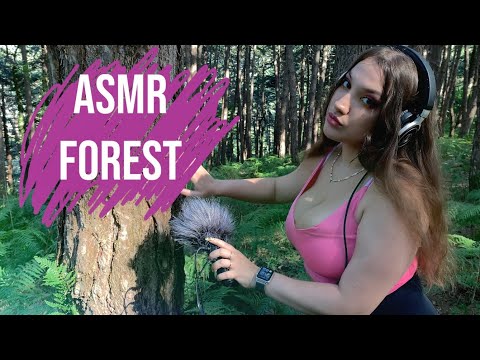Forest ASMR NO TALKING #asmrsounds #forestsounds #asmr