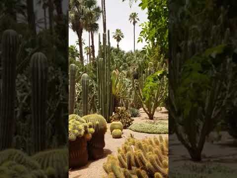 impressive garden in Marrakech #shorts #travel