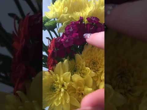 ASMR spring flowers