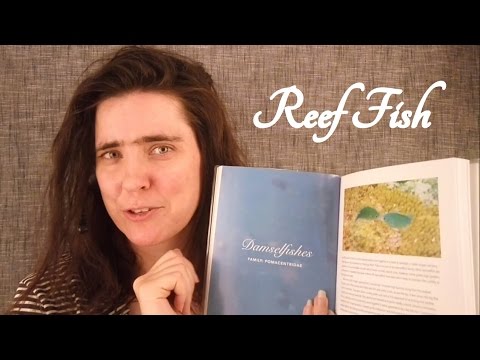 🐟 ASMR Great Barrier Reef Tour Guide Role Play 🐟 ☀365 Days of ASMR☀