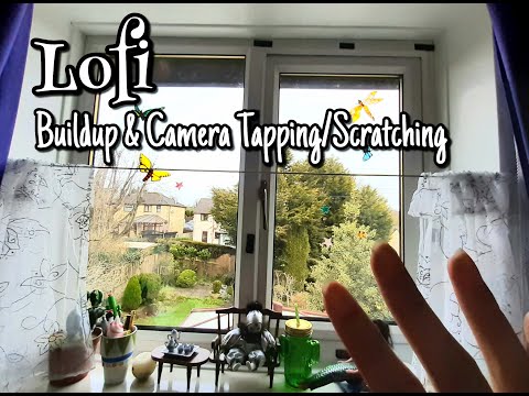 ASMR: Lofi Build Up & Camera Tapping & Scratching 🌵 [No Talking]