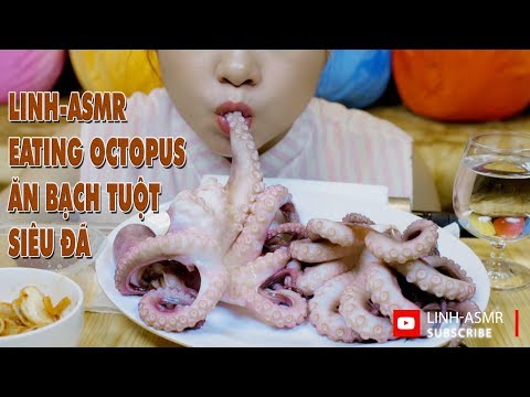 Ăn bạch tuộc quá đã , Eating octopus , eating sound , Mukbang | LINH-ASMR