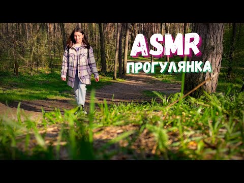 Віртуальна прогулянка в лісі: звуки природи, асмр українською