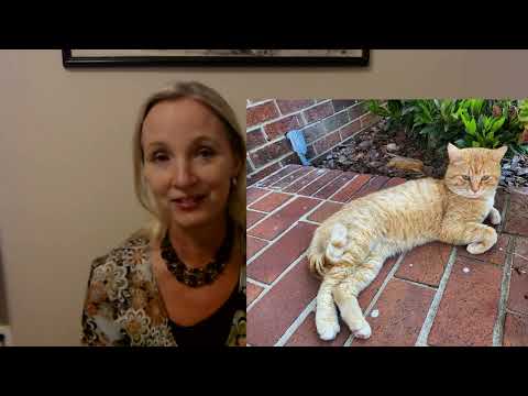 ASMR | Cat Lady Subscription Box Show & Tell 6-14-2022 (Whisper)