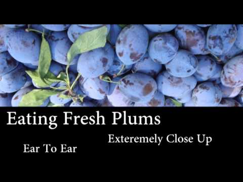 Binaural ASMR Eating Fresh Plums (Ear To Ear, Extremely Close Up)