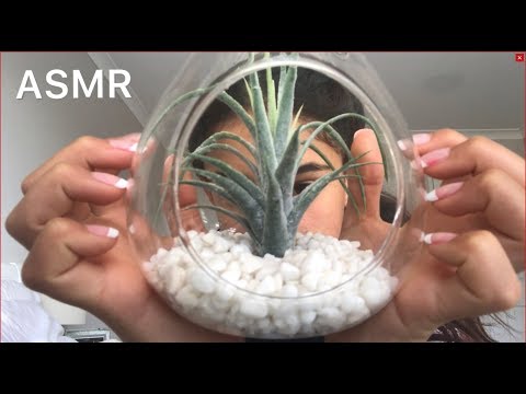 ASMR || Tapping On Clear Items With Acrylics ||