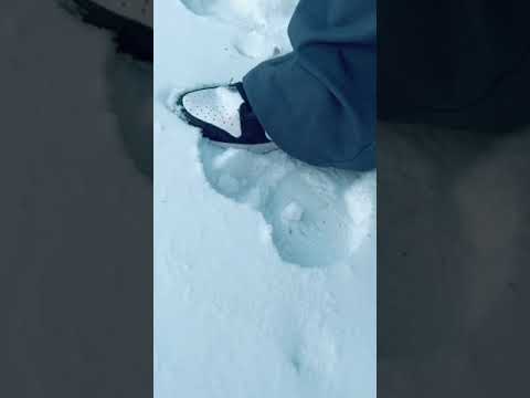 Walking in the snow with dunks! #shorts #asmr #shortsasmr