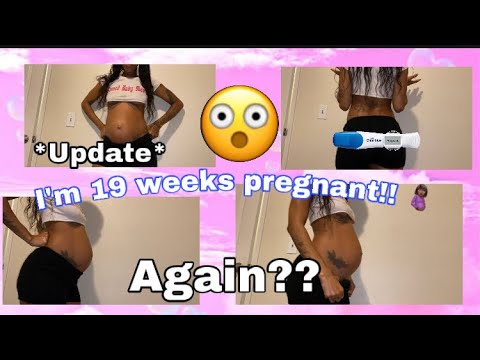OMG IM PREGNANT 😳! 19 WEEKS PREGNANCY UPDATE! 🤰🏾