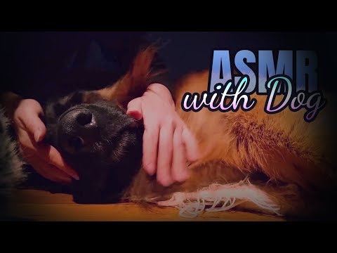 Dog ASMR - dog ambience - breathing, licking, patting, petting, fur scratching (kutya ASMR)
