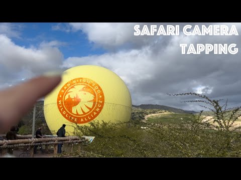 ASMR: 3+ Minutes Of Safari Park Camera Tapping, etc. 🦁