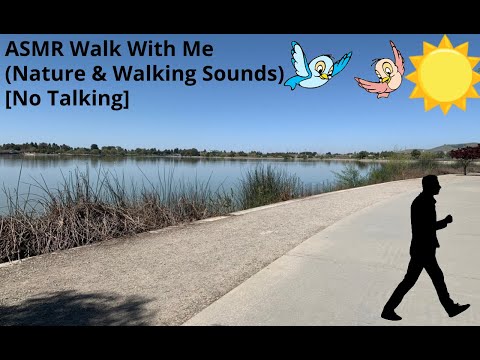 ASMR Walk With Me (Nature Sounds) [No Talking]
