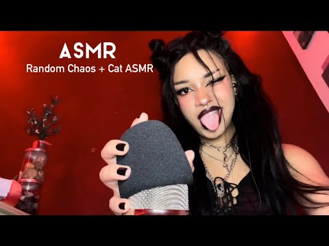 ASMR w/ my cat, random triggers, purring, reading, crinkling, fast and aggressive , funny, for sleep