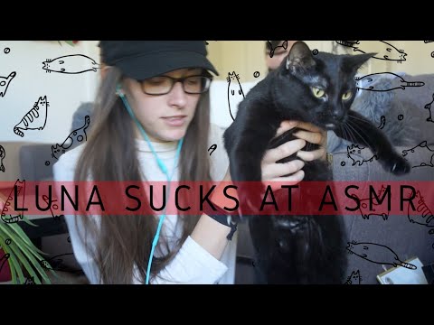 CAT ASMR WITH LUNA (spoiler alert she ain’t great)