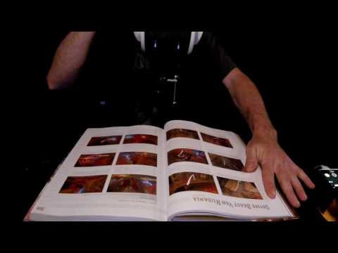 Breaking in a Book ASMR 3Dio 60FPS