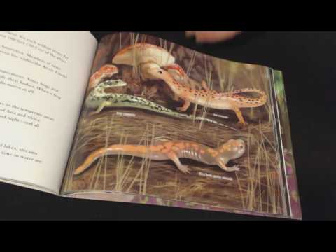 ASMR Whisper ~ Reading Scholastic Book (Amphibians) ~ Part II
