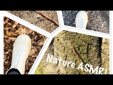 Nature ASMR (No talking) Crunchy walks, tree tracing with sticks and rock sounds