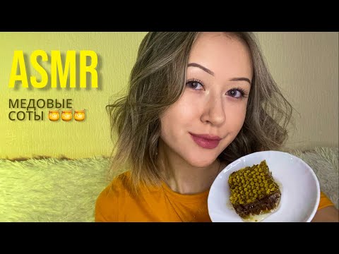 АСМР Медовые соты | Итинг * ASMR Honeycomb | Eating