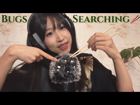 ASMR Bugs Searching &Plucking, Mic Scratching, Scalp Massage(fingers, chopsticks, tweezer, fork)