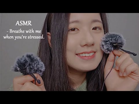 ASMR When You're Stressed, Breath With Me! 🌼 Ear Blowing, Breathing Sounds (No Talking, 1 Hour)