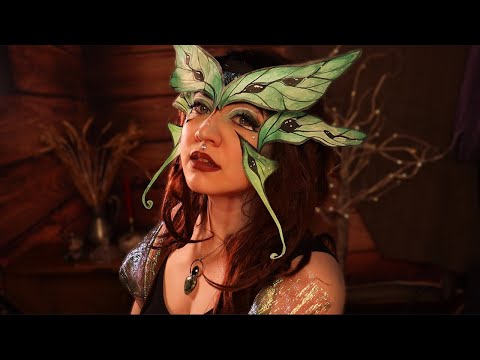 The Forest Creature Sanctuary [ASMR] (personal attention, face touching, cleaning, etc)