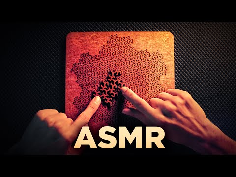 ASMR Solving this Satisfying FRACTAL WOODEN PUZZLE 😴(No Talking)