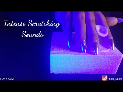 ASMR INTENSE Scratching | With Long Nails & Soft Brush [NO TALKING]