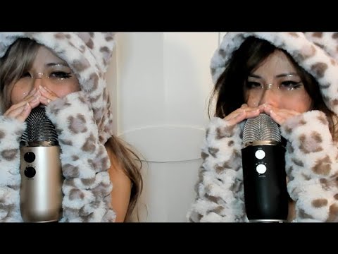 ASMR・👻・Twin Leopard Mouth Sounds - Happy Halloween!