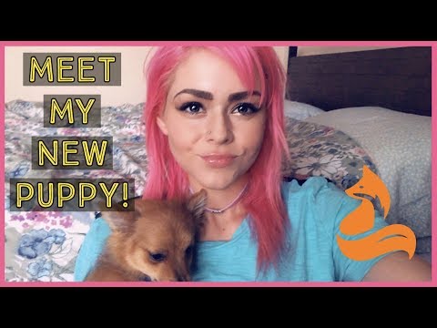 Meet My New Puppy!  Softly Spoken ASMR Inaudible and Unintelligible Whispering