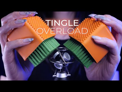 ASMR Stimulate Your Ears from 4 Directions~Tingle Overload! (No Talking)